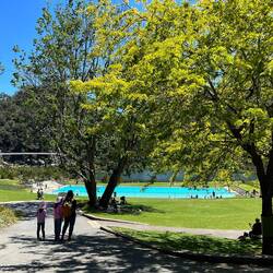 We weren't expecting such a cool park right next to the center of Launceston