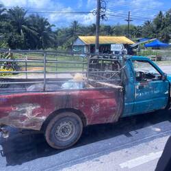 MFK keis Thema in Thailand 😂