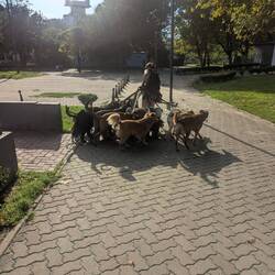 Könnte sich Mona als Jobalternative - neben Zugführerin - auch vorstellen!