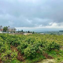 Blick auf den Stellplatz