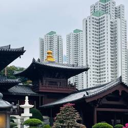 - auch mitten in der City...