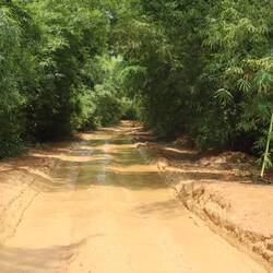 Die Piste ist schlecht...