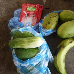 Vor allem Mangos und Gurken werden am Straßenrand in großer Zahl angeboten