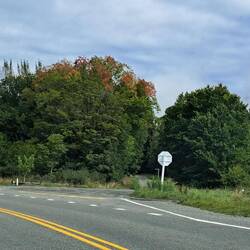 And a little touch of early Fall is creeping in....