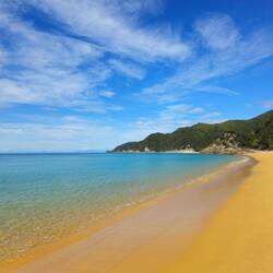 Whariwharangi beach aux couleurs chaudes tranchant avec le froid de l'océan Pacifique