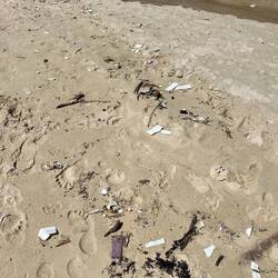 Überall Plastik im Sand