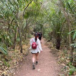 Immer wieder laufen wir Abschnitte durch eine Art Dschungel