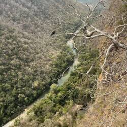 Den Ausblick in die tiefe Schlucht haben wir uns verdient
