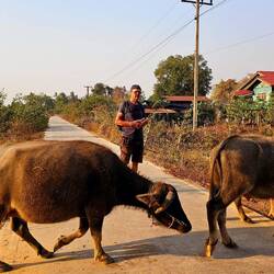Kreuzen die Straße.