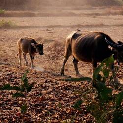 Steuern direkt auf uns zu.