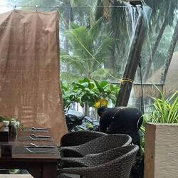 Had to pull the curtain over to keep rain out breakfast area