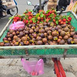Rambutan and Mangosteen. So yummy