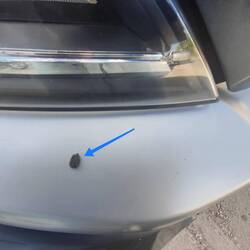 Der vermeintliche Übertäter.