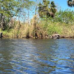 Old sunk boat. The wood is pretty much gone. All that's left is the engine.