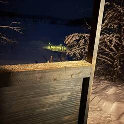 die Abkühlung - das Eisloch im See 🙄