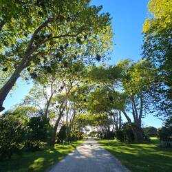 Arrivée à Totaranui