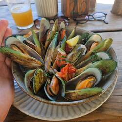 Les green mussels: la douzaine vous rassasie !