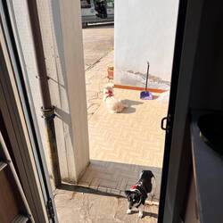 Ruby ist noch etwas irritiert, wo sie sein soll. Im Wohnwagen oder draußen.