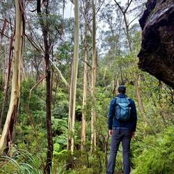 There was incredible jungle foliage throughout the area