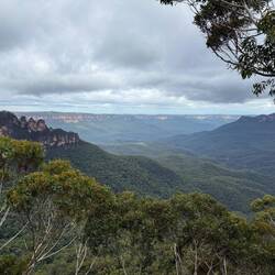 Our final lookout for the day
