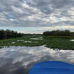 View off our stern in Butcher's Bend.