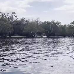 Party beach. And an airboat overtakes us