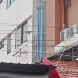 Besuch zum Frühstück 🥰