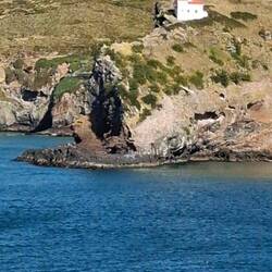 Taiaroa Head centre de sauvegarde des albatros et son phare