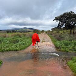 A typical stream crossing