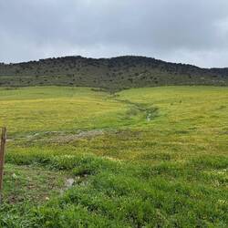 Typical open landscape