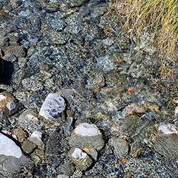 Crystal clear water in the riverbeds.