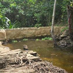 Philips Wasserreservoir