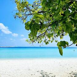 Our beach spot on Gulhi Island. The good snorkeling was out there where the deep blue water is.