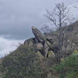 Der Schildkrötenfelsen. 🐢