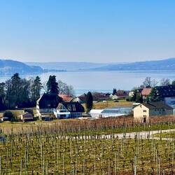 Die Reichenau vom Hochwart aus