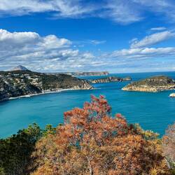 Cap Negre