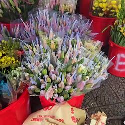 First time seeing flowers in a market.