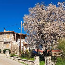Agios Efthimia