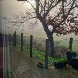 The sun trying to get through