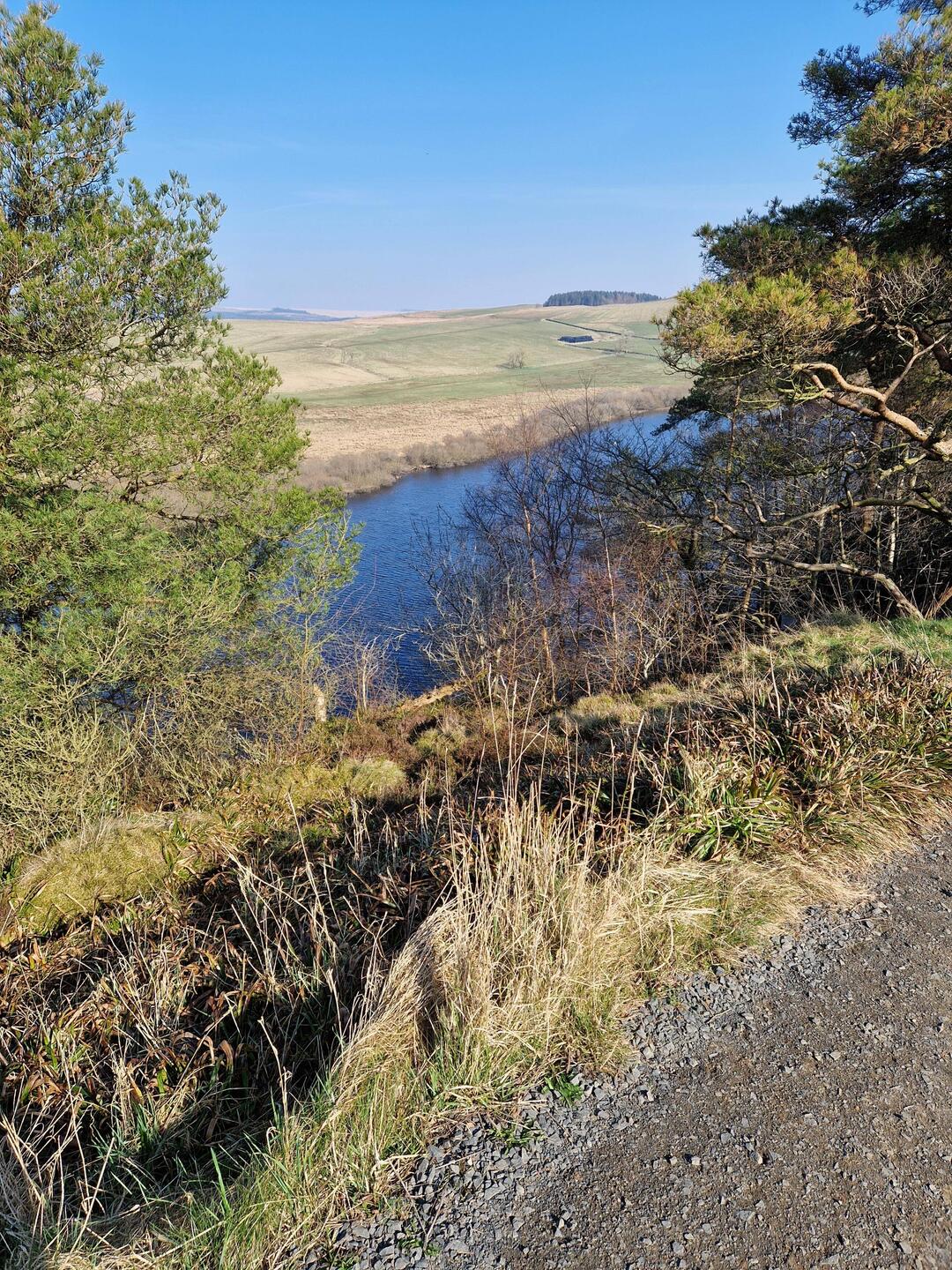 One of the many bodies of water we saw. They're called lough, like a Scottish Loch.