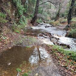 Nein!!! Nicht schon wieder!!!