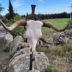 Diese Beleuchtung finde ich makaber!