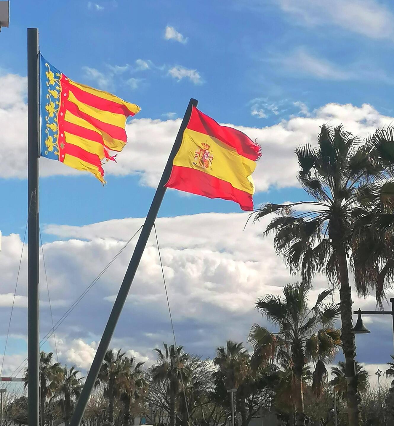 Palmen