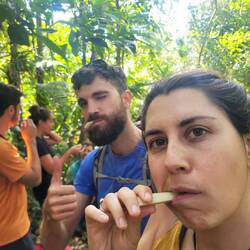 Saboreando la caña de azúcar