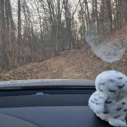 Der Weg zum Ziel... oder doch nicht 😅