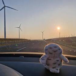 Volle Windkraft voraus