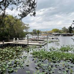 Hontoon docks pretty empty now.