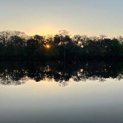 Sunrise in Butcher's Bend