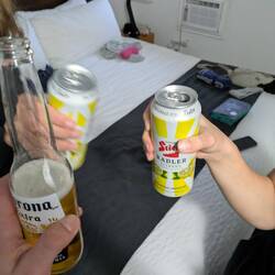 import Biere genießen