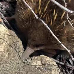 Kaum ein Tag ohne Tiersichtung... 😊